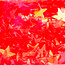 The Studio - Art Pack #094 - Assorted Red Confetti - 012 - 12 pcs