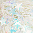 The Studio The Studio - Art Pack #219 - Assorted Star Confetti - 12 pcs - 017