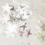 The Studio The Studio - Art Pack #219 - Assorted Star Confetti - 12 pcs - 017