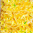 The Studio The Studio - Art Pack #219 - Assorted Star Confetti - 12 pcs - 017