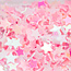 The Studio The Studio - Art Pack #226 - Assorted Confetti - 12 pcs