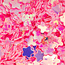 The Studio The Studio - Art Pack #224 - Assorted Pink & Iridescent Confetti - 12 pcs - 029