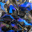The Studio - Art Pack #282 - Assorted Large Blue Rhinestones