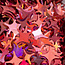 The Studio - Art Pack #223 - Assorted Star Confetti - 12 styles - 025