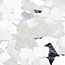 The Studio The Studio - Art Pack #112_230 - Assorted Silver Confetti - 6 pcs