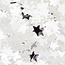 The Studio The Studio - Art Pack #112_230 - Assorted Silver Confetti - 6 pcs