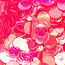 The Studio The Studio - Art Pack #160 - Assorted Round Confetti - 12 pcs