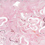 The Studio The Studio - Art Pack #159 - Assorted Pink Confetti - 12 pcs