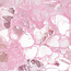 The Studio - Art Pack #159 - Assorted Pink Confetti - 12 pcs