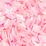The Studio The Studio - Art Pack #234 - Assorted Nail Art Confetti - 12 pcs