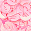 The Studio The Studio - Art Pack #234 - Assorted Nail Art Confetti - 12 pcs