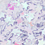 The Studio The Studio - Art Pack #234 - Assorted Nail Art Confetti - 12 pcs