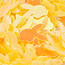 The Studio - Art Pack #237 - Assorted Yellow Confetti - 12 pcs