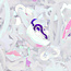 The Studio The Studio - Art Pack #236 - Assorted Nail Art Confetti - 12 pcs