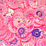 The Studio The Studio - Art Pack #150 - Assorted Pink Confetti - 12 pcs