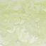 The Studio The Studio - Art Pack #106 - Glow In The Dark Confetti - A - 12 pcs
