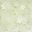 The Studio The Studio - Art Pack #106 - Glow In The Dark Confetti - A - 12 pcs