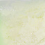 The Studio The Studio - Art Pack #110 - Glow In The Dark Confetti - F - 12 pcs