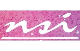nsi