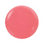 NotPolish NotPolish - M 021 Please Me - AIO Powder - 2 oz