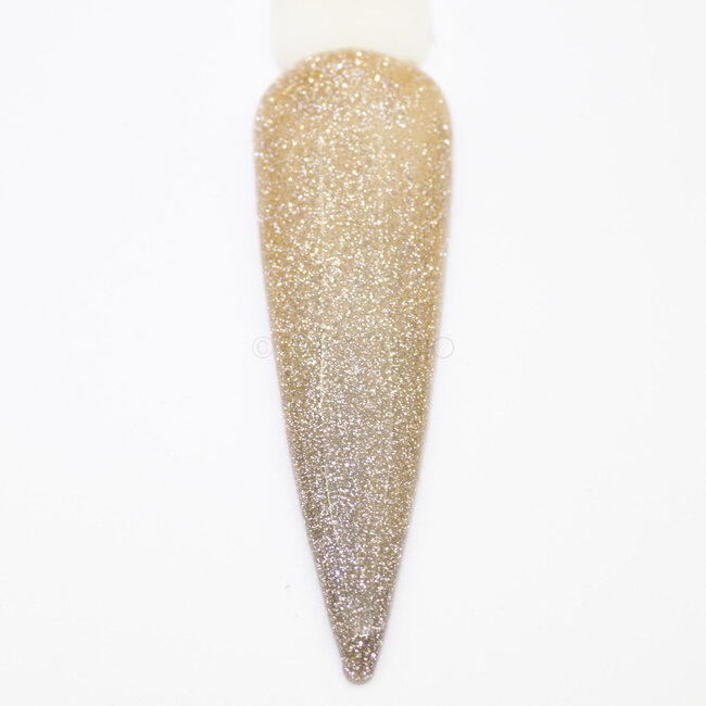 The Studio - Reflective Gel -