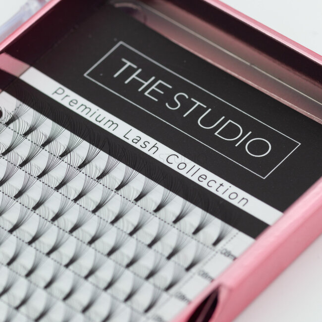 The Studio - Lash  - PreVolume - 10D - .05 - C - 08mm