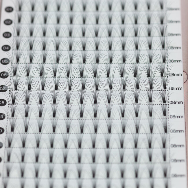 The Studio - Lash  - PreVolume - 10D - .05 - C - 08mm