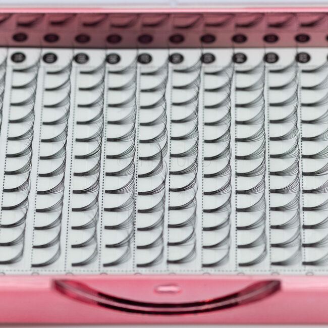 The Studio - Lash  - PreVolume - 10D - .05 - C - 08mm