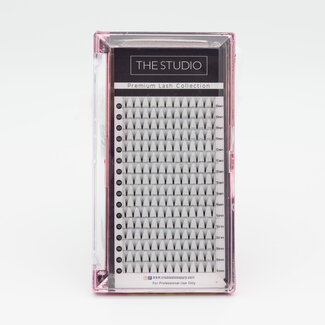 The Studio The Studio - Lash  - PreVolume - 10D - .05 - C - 10mm