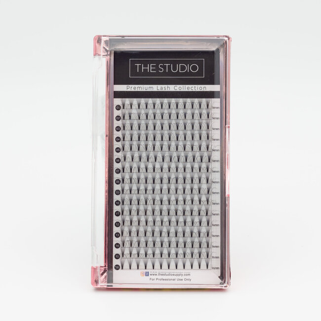 The Studio - Lash  - PreVolume - 10D - .05 - C - 14mm