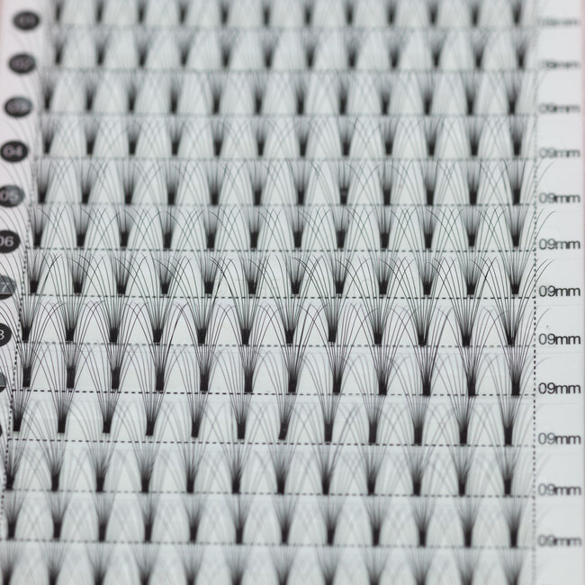 The Studio - Lash  - PreVolume - 10D - .05 - C - 09mm