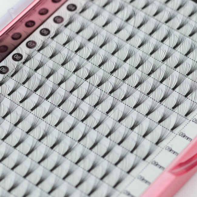 The Studio - Lash  - PreVolume - 10D - .05 - C - 09mm