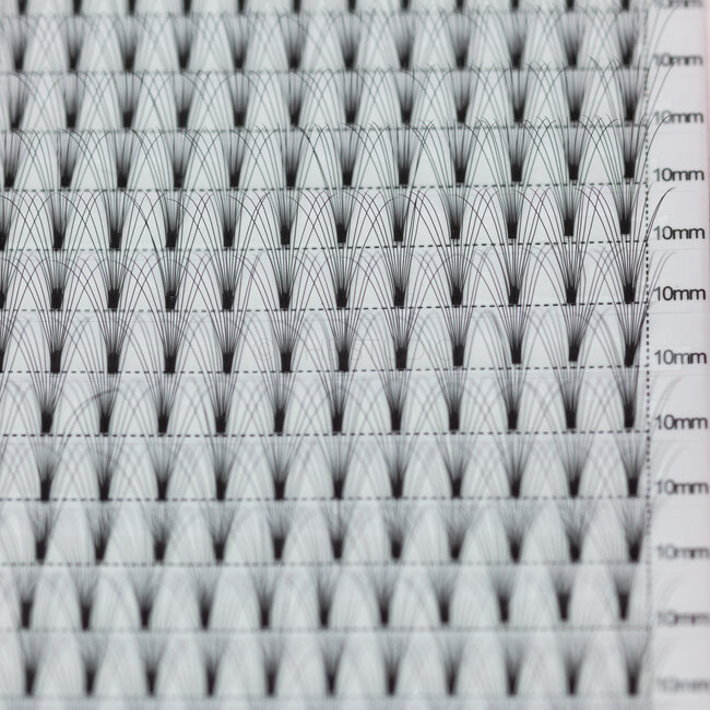 The Studio - Lash  - PreVolume - 10D - .05 - C - 10mm