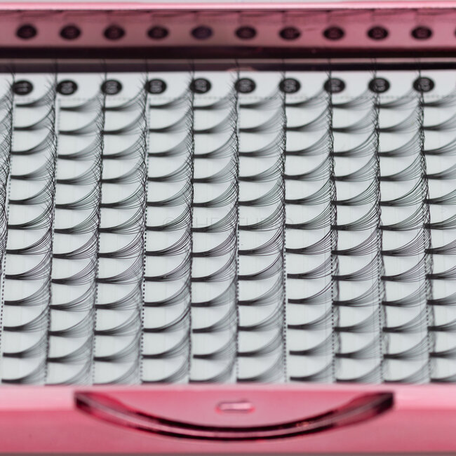 The Studio - Lash  - PreVolume - 10D - .05 - C - 10mm