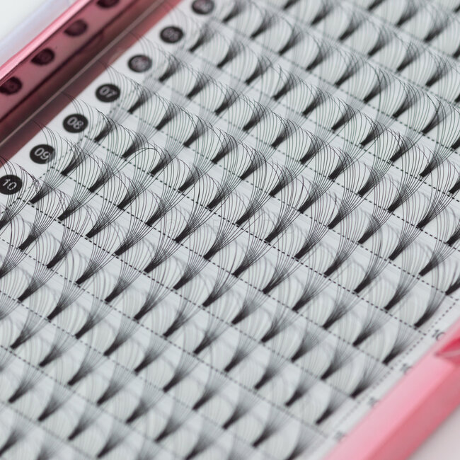 The Studio - Lash  - PreVolume - 10D - .05 - C - 10mm