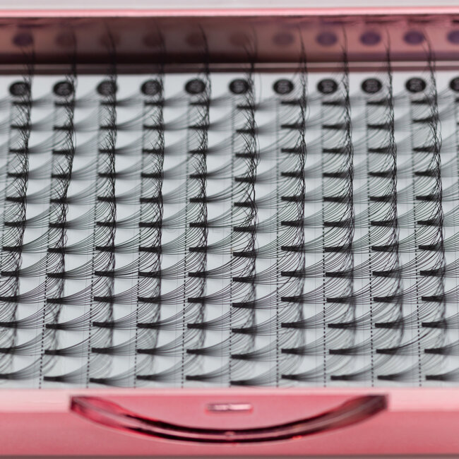 The Studio - Lash  - PreVolume - 10D - .05 - C - 14mm