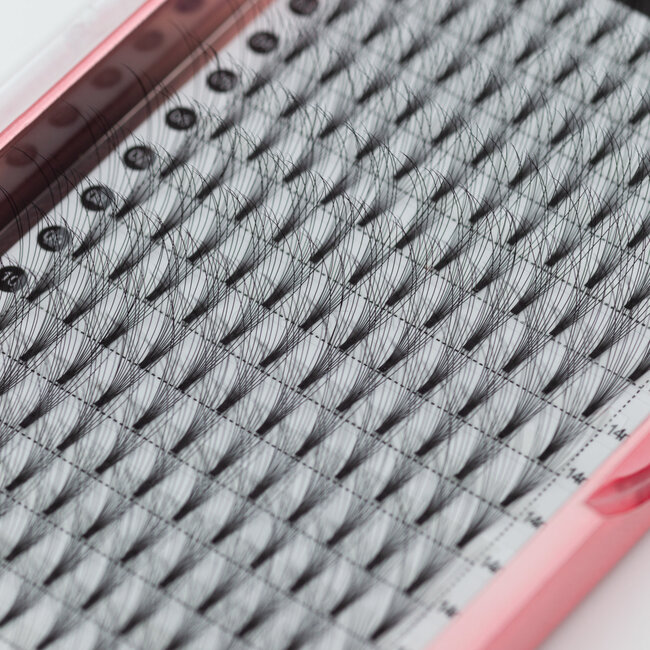 The Studio - Lash  - PreVolume - 10D - .05 - C - 14mm