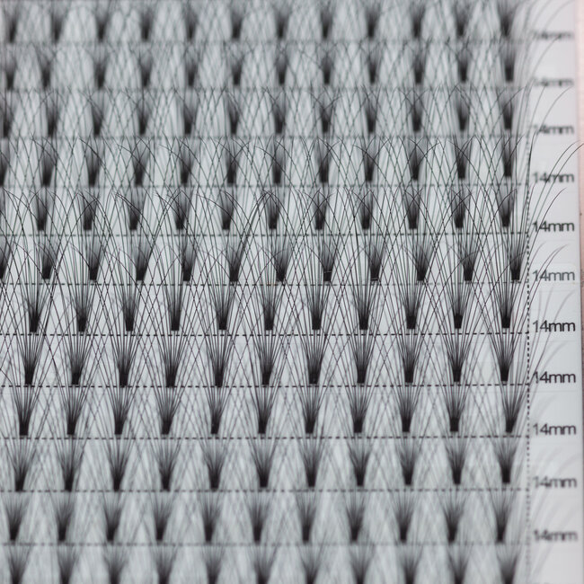 The Studio - Lash  - PreVolume - 10D - .05 - C - 14mm