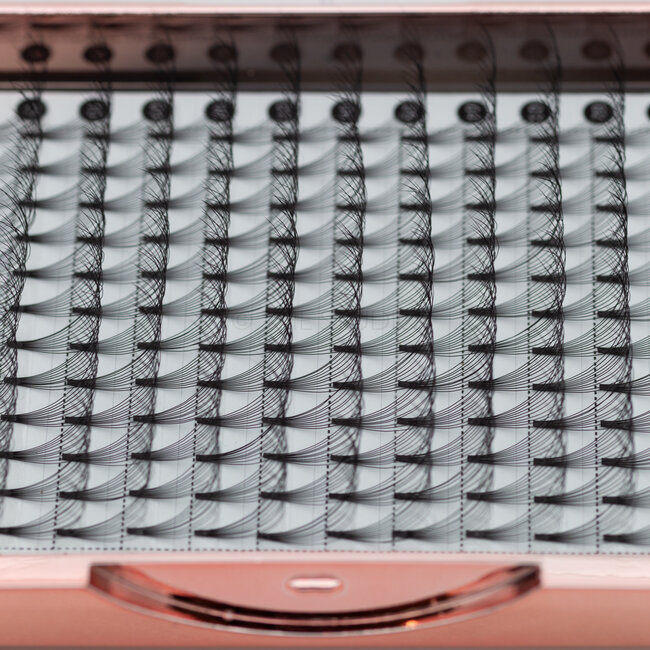 The Studio - Lash  - PreVolume - 10D - .05 - C - 15mm