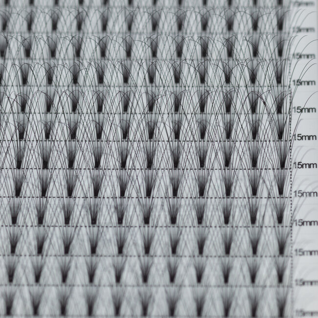 The Studio - Lash  - PreVolume - 10D - .05 - C - 15mm