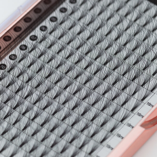 The Studio - Lash  - PreVolume - 10D - .05 - C - 16mm