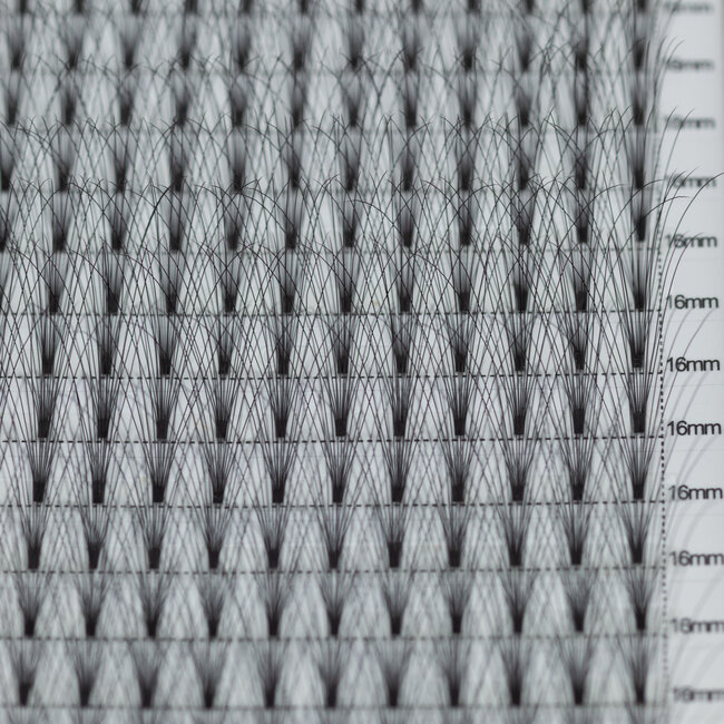 The Studio - Lash  - PreVolume - 10D - .05 - C - 16mm