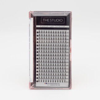 The Studio The Studio - Lash  - PreVolume - 10D - .05 - D - 14mm