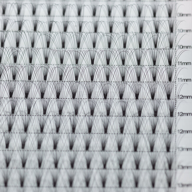 The Studio - Lash  - PreVolume - 10D - .05 - D - MIX