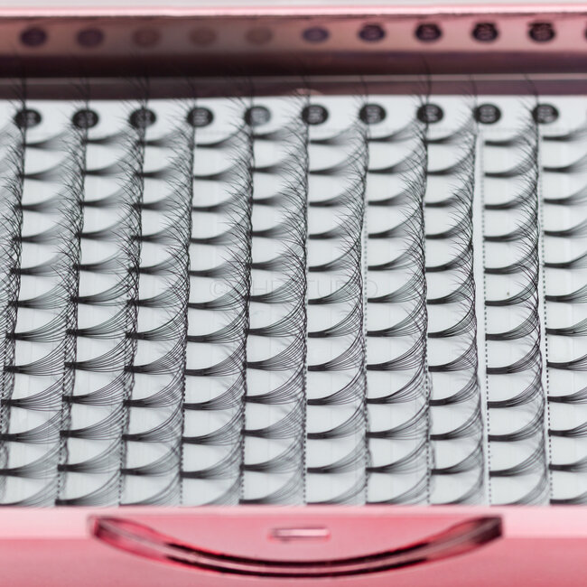 The Studio - Lash  - PreVolume - 10D - .05 - D - MIX