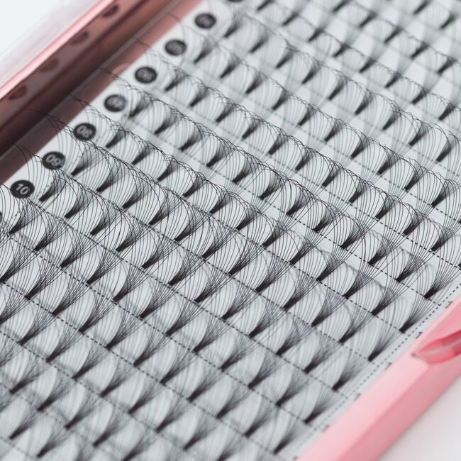 The Studio - Lash  - PreVolume - 10D - .05 - D - MIX