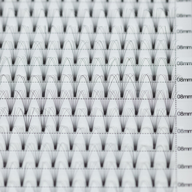 The Studio - Lash  - PreVolume - 10D - .05 - D - 08mm