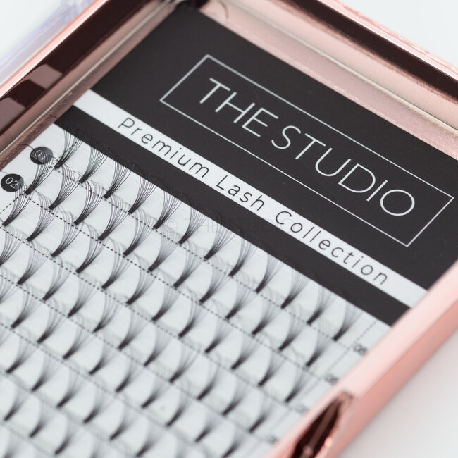 The Studio - Lash  - PreVolume - 10D - .05 - D - 08mm