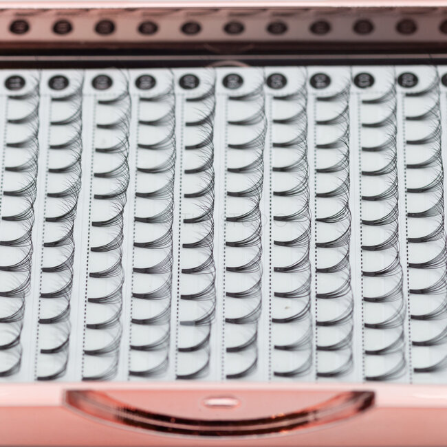 The Studio - Lash  - PreVolume - 10D - .05 - D - 08mm