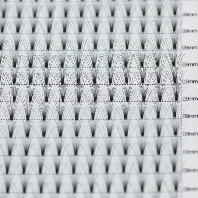 The Studio - Lash  - PreVolume - 10D - .05 - D - 09mm